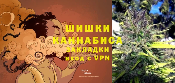 молекула духа Бугульма