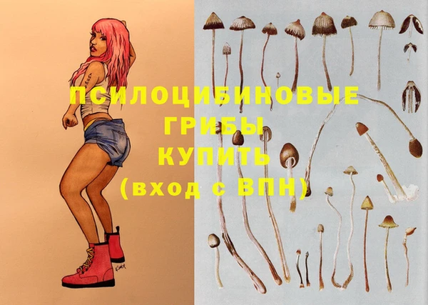 молекула духа Бугульма